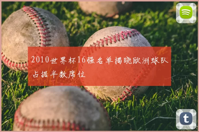 2010世界杯16强名单揭晓欧洲球队占据半数席位