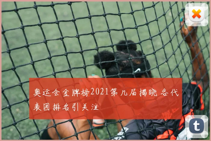 奥运会金牌榜2021第几届揭晓 各代表团排名引关注